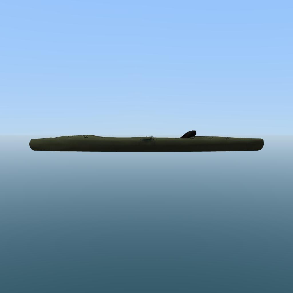Kayak