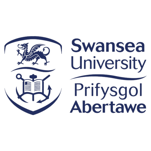 SwanseaWEB-removebg-preview
