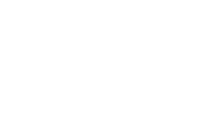 VIOSO_Logo_22_720p_white-300x169